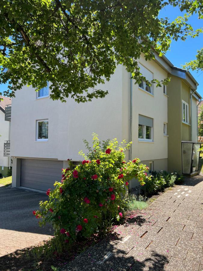 Schwarzwald Appartement Steffanie ฟรอยเดนชตัดท์ ภายนอก รูปภาพ